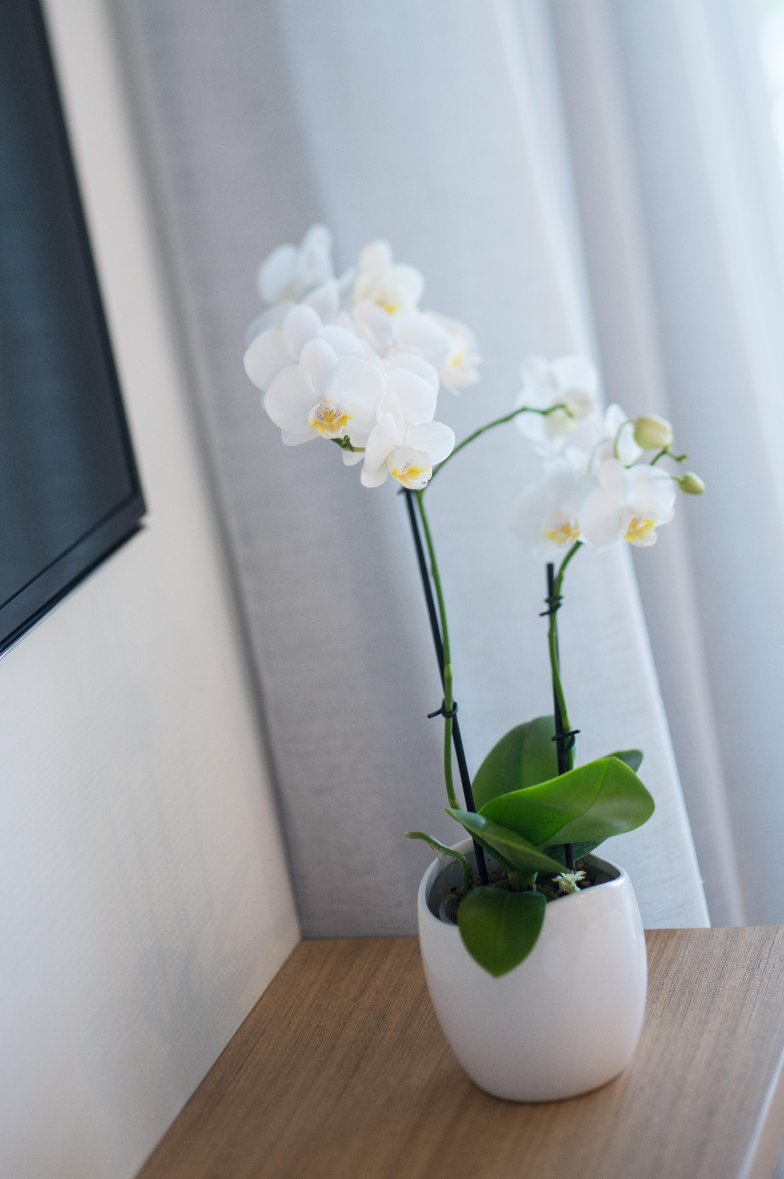 Heart Hotel And Gallery Whitsundays Airlie Beach Ngoại thất bức ảnh