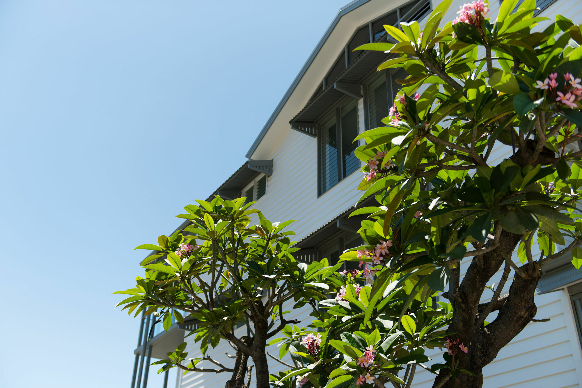 Heart Hotel And Gallery Whitsundays Airlie Beach Ngoại thất bức ảnh