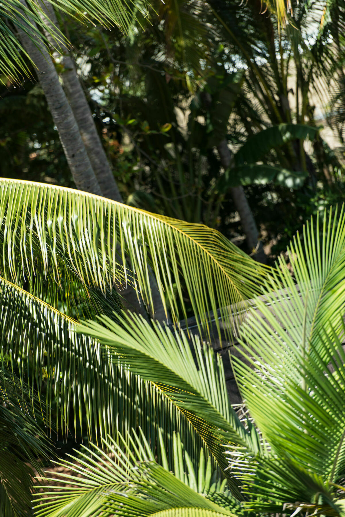 Heart Hotel And Gallery Whitsundays Airlie Beach Ngoại thất bức ảnh